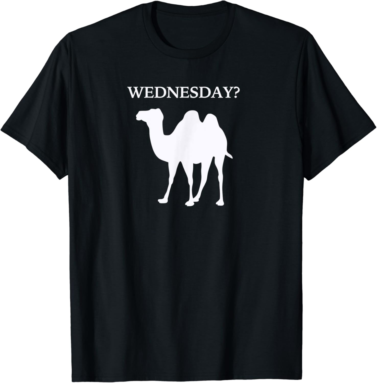 Wednesday? Camel Joke for Comedy, Commercial & Animal